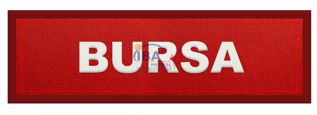 Şehir Kokartları 16-Bursa