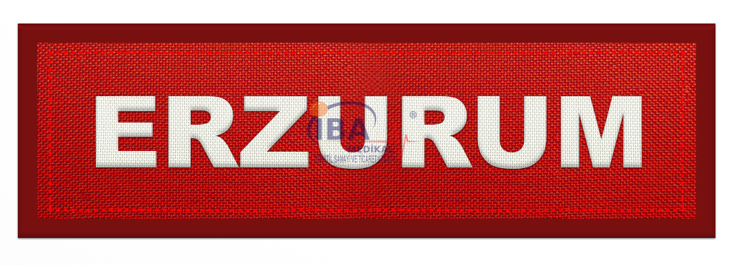 Şehir Kokartları 25-Erzurum